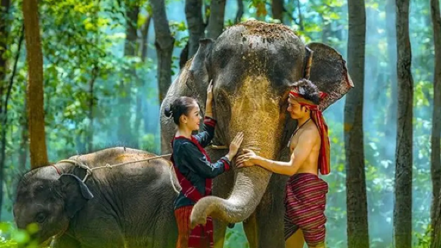 Guangzhou Custom Private Charter: Chimelong Safari Park Pickup/Drop-off