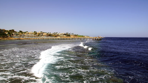 埃及沙姆沙伊赫｜翻譯陪同｜地陪旅遊｜展會｜商務考察｜地接｜（可私人定制）