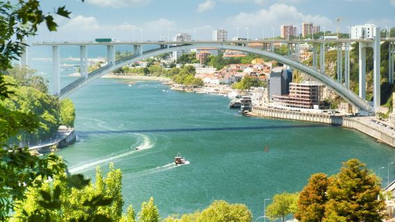 Douro River: Small-Group Walking Tour