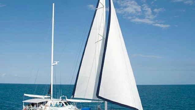 Low Isles: Guided Boat Tour from Port Douglas + Lunch + Snorkelling