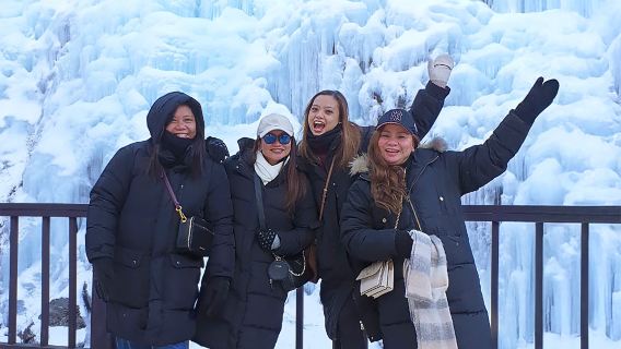 Winter 1-day tour from Seoul: Strawberry picking + Eobi Valley + Nami Island