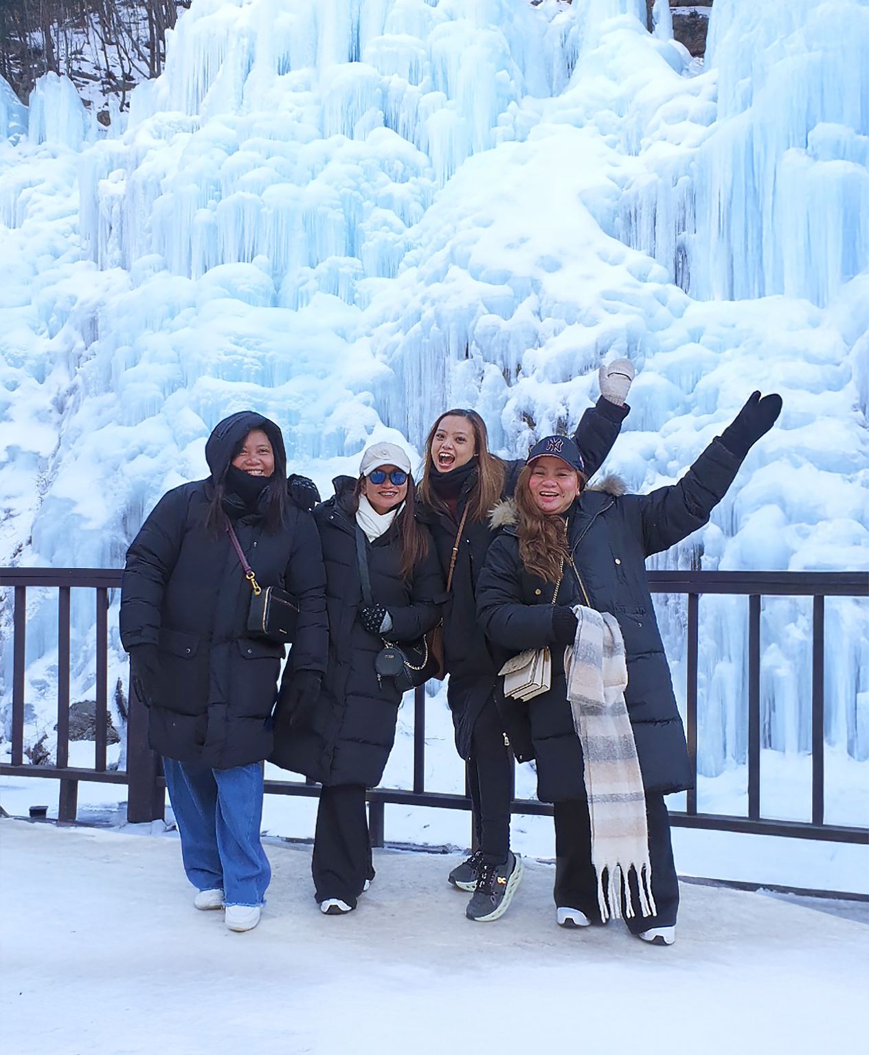 Tour di un giorno invernale da Seoul: raccolta di fragole + Valle di Bongseonsa + Nami Island