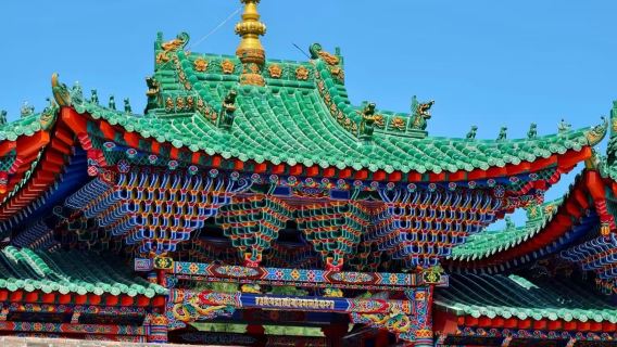 Kumbum Monastery + Qinghai Province Museum + Qinghai-Tibet Plateau Wildlife Park + Mojia Street