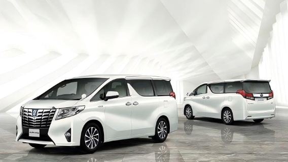 Shenzhen–Hong Kong Private Charter Kowloon New Territories/Hong Kong Airport [Designated Alphard + Door-to-Door Pickup + Smooth Customs Clearance]