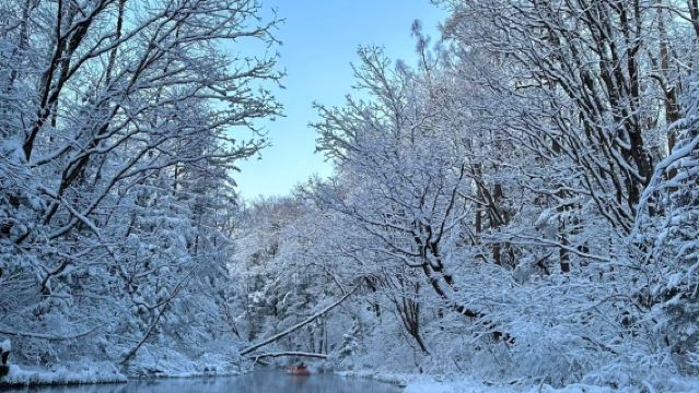 Hanyutan Kabus di Lereng Barat Gunung Changbai/Perkhidmatan Pengangkutan Eksklusif/Pakej Pelancongan Tanpa Membeli-belah
