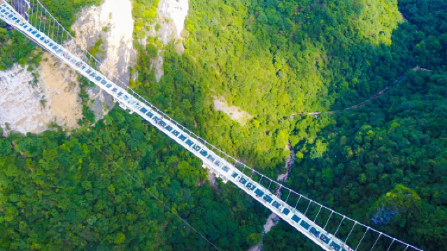Zhangjiajie National Forest Park Grand Canyon Glass Bridge Private Guided Day Tour