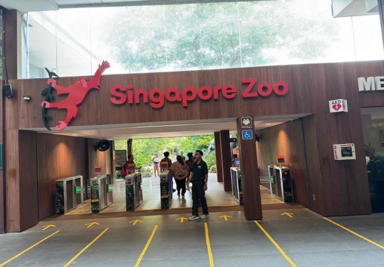 Singapore: Get Close to Nature with a Visit to the Zoo and River Wonders