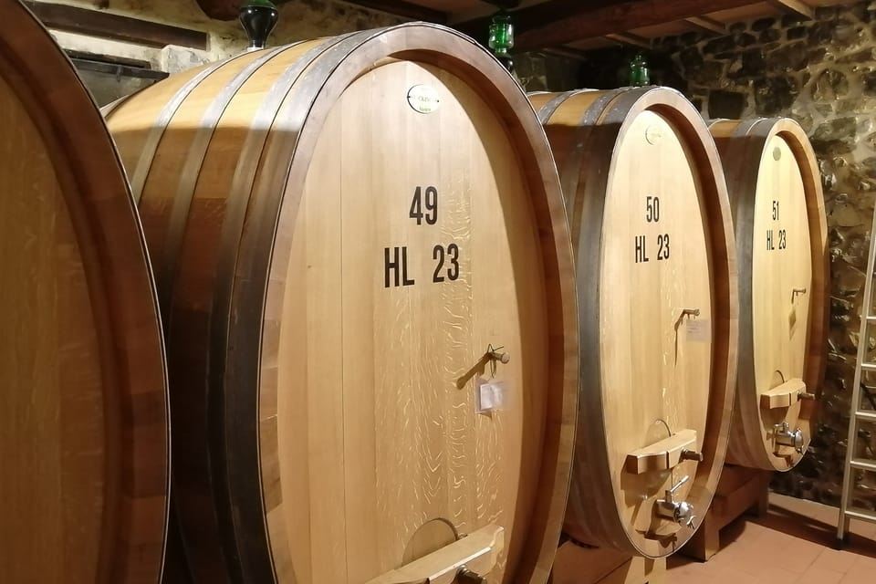 From Siena: Brunello di Montalcino Guided Wine Tour W/ Lunch