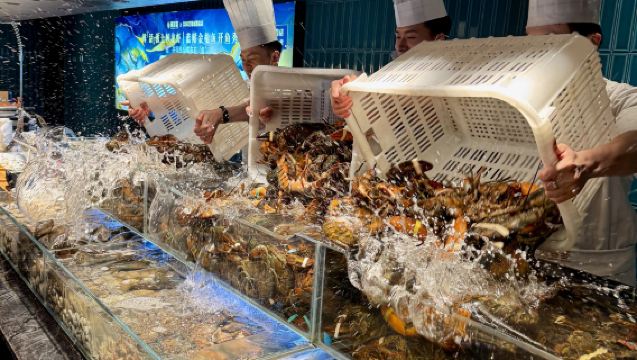 Xi'an • Yong Rong Hui Buffet con Cangrejo Real y Langosta Viva | Cangrejo Real y Langosta Viva ilimitados + más de 200 tipos de mariscos para elegir + mariscos frescos cocinados al momento, libera tu libertad de mariscos