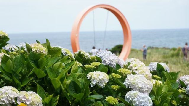 濟州島東線一日遊｜牛島+城山+涉地可支+月汀里+咸德｜全景線