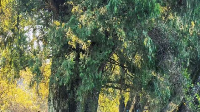 Chengdu Round-Trip: 1-Day Tour of Ancient Shu Road Hiking | Hiking at Lanma Wall | A Step Across a Millennium