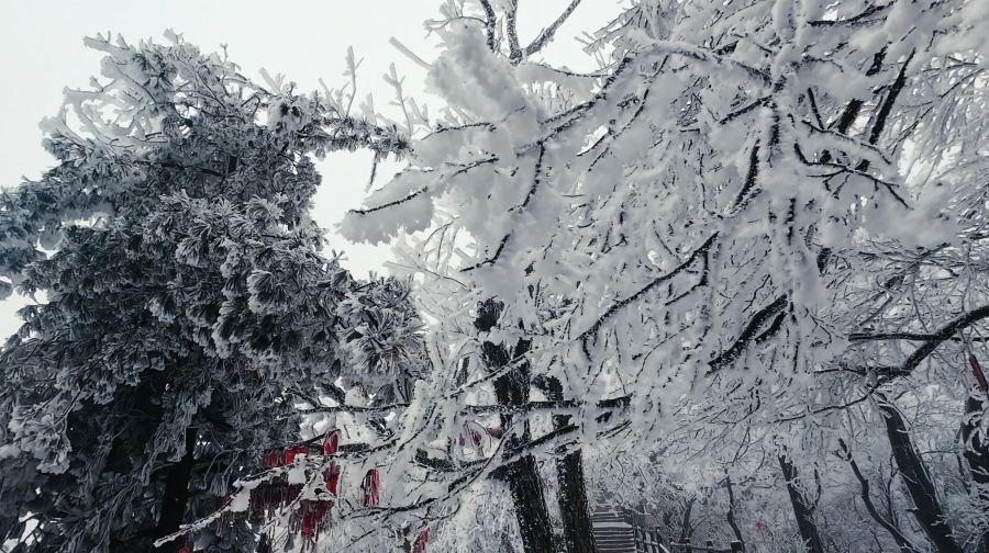 含門票私家團可看夜景上門接·老君山十里畫屏金頂純玩一日遊