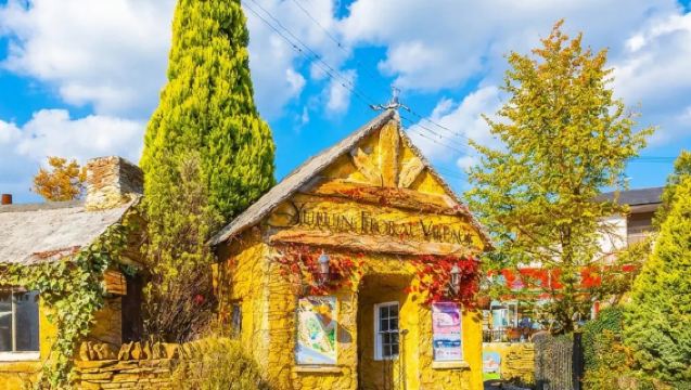 1-day tour from Fukuoka to Yufuin by Yufuin no Mori Train (Includes train ticket and Umi Jigoku admission ticket) | Beppu Dazaifu