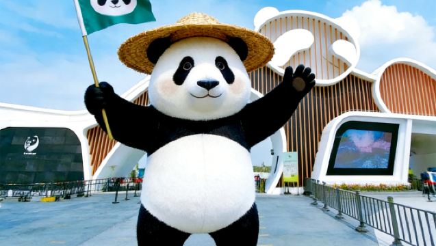 Chengdu Research Base of Giant Panda Breeding Half-Day Tour | Private Tour | Optional English/Chinese Guide