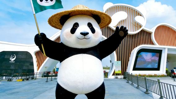 Chengdu Research Base of Giant Panda Breeding Half-Day Tour | Private Tour | Optional English/Chinese Guide