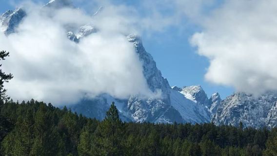 美國鹽湖城來回黃石國家公園包車&舊金山洛杉磯拉斯出發【中文】