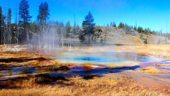 美國鹽湖城來回環線包車+大蒂頓+黃石國家公園【支持私人訂製】