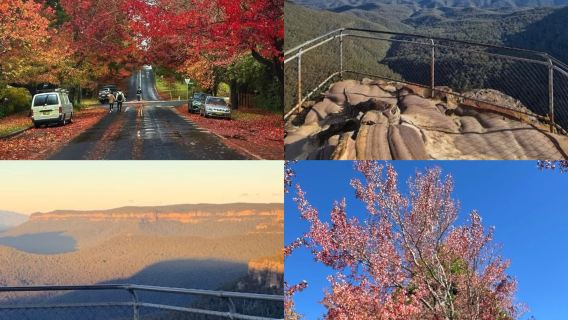 雪梨藍山秋日一日遊【賓士｜阿爾法】