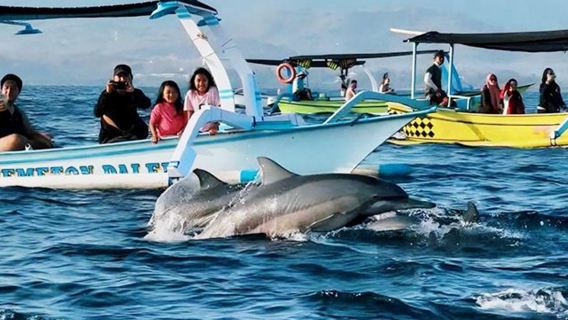 ทัวร์ 1 วันตามล่าปลาโลมาที่โลวินา บาหลี [ตามล่าโลมา+สปาระดับ 5 ดาว]