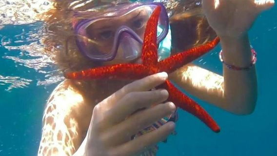 Cadaqués: Boat Tour from Roses + Swim Stop