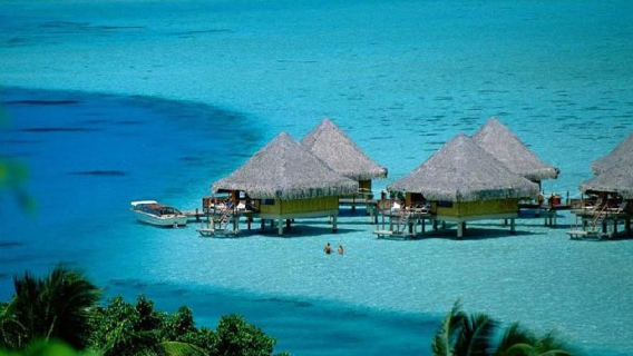 Quick electronic arrival card filling service - Maldives electronic arrival card (IMUGA arrival card)/Malé electronic arrival card/72-hour electronic arrival card filling assistance