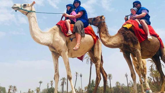 Marrakesch: Halbtägiger Kamelritt in der Palmeraie-Oase mit Nomaden-Outfit und marokkanischer Teepause
