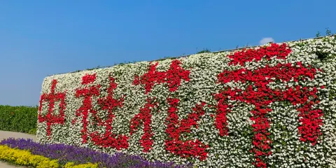 台中漫畫博物館&宮原眼科&中社花海&高美濕地 拼車一日遊