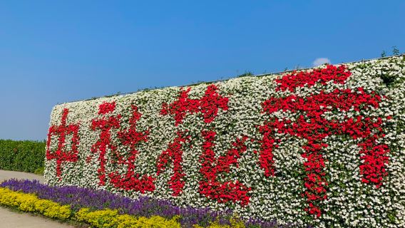 Taichung comic museum & Miyahara ophthalmology & Zhongshe flower sea & Gaomei wetland shared day tour
