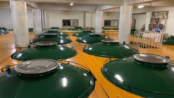 Takayama: Authentic Sake Tasting at a Historic Brewery