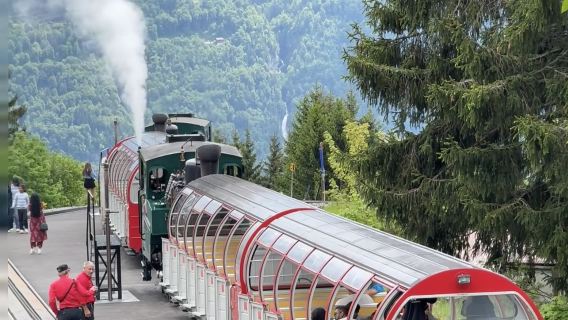  Zurich pergi-balik sewaan peribadi|Tasik Lungern + Air Terjun Giessbach + Bandar Alps lawatan sehari