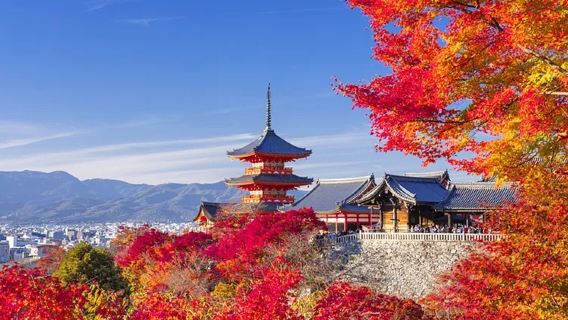 日本大阪心齋橋+嵐山+清水寺1日包車遊（不含景點門票）