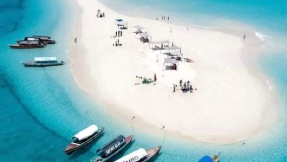 Zanzibar: Prison Island and Nakupenda Sandbank with Lunch