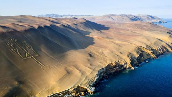 Paracas, Ballestas Islands & Paracas National Reserve Sightseeing Tour from Ica