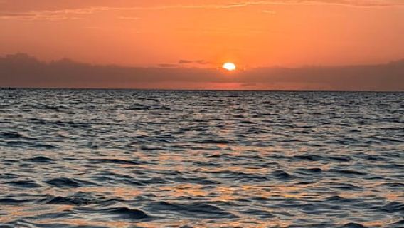 Zanzibar: Safari blue Sunset Dhow Cruise 3-Hour Trip