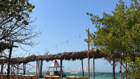 Пляжный клуб Isla Tierra Bomba: дневной абонемент с традиционной едой