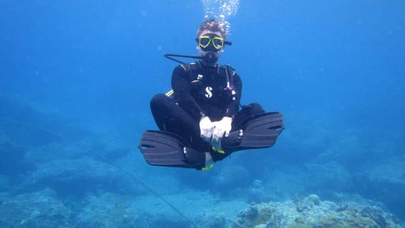 Mauritius: East Belle Mare Scuba Diving Tour