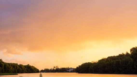 Guided Sundowner Kayak Tour