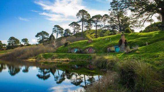 WellingtonTours