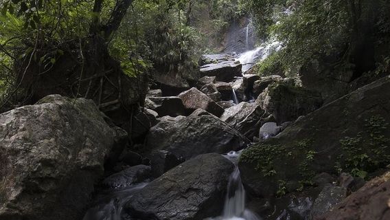 Mount LaviniaExperiences
