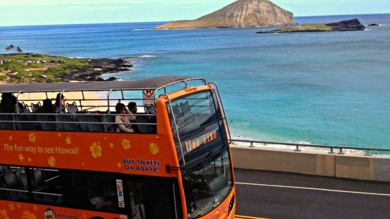 Waikiki Trolley Hop-on Hop-off Bus Tour