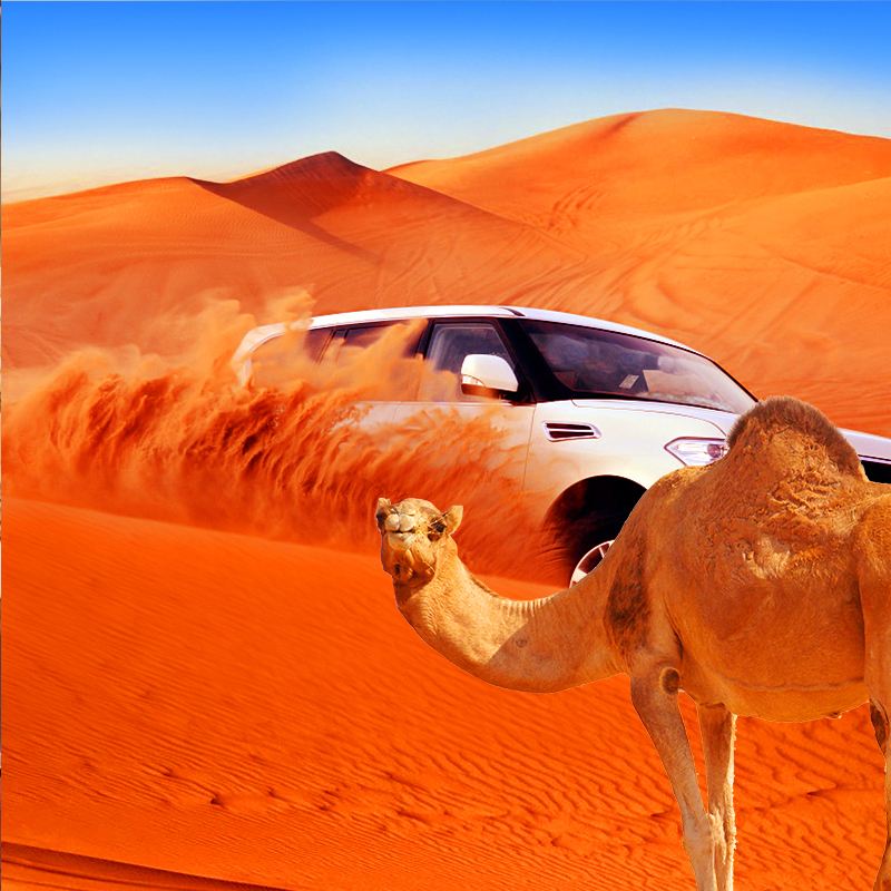 Pakej Desert Safari 1 Hari di Dubai, UAE: Menunggang di Pasir Merah|Persembahan kem + Pengambilan &