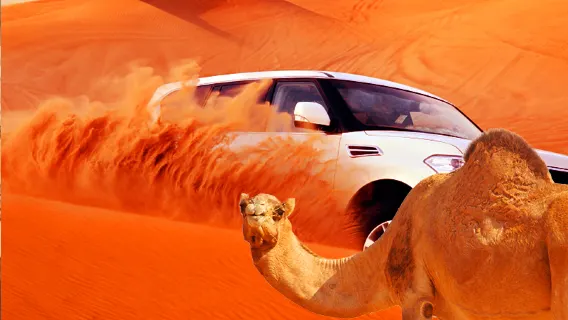 Excursion dans les dunes rouges de Dubaï (1 jour)|Spectacle de camp + transfert depuis l'hôtel en ville + buffet arabe + expérience de balade à dos de chameau (5 camps au choix) + observation des étoiles en option