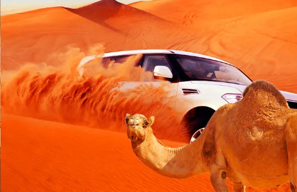 【阿聯酋杜拜沖沙1日】紅沙沖沙|營地表演+市區酒店接送+阿拉伯自助餐+體驗騎駱駝(五大營地可選)可選觀星