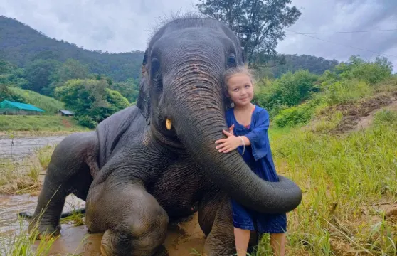 納財大象營官方（直接訂單）|大象體驗活動