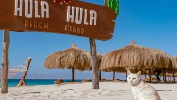 Isla Hula Hula: Crucero guiado desde Hurghada + Snorkel + Almuerzo