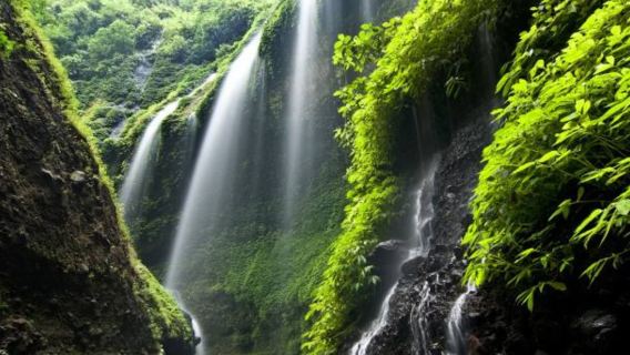 Chuyến đi một ngày đến núi Bromo bằng xe Jeep 4WD và thác Madakaripura từ Malang|Indonesia