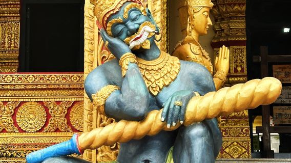 ทัวร์วันเดียว/ทัวร์หลายวัน เขตท่องเที่ยวเชิงวัฒนธรรมสิบสองปันนาเหมิงเล่อ + สวนได (มีภาษาอังกฤษและภาษาจีน)