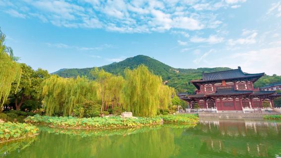 Excursión de medio día con visita guiada con explicaciones por el Palacio Huaqing de Xi'an, opcional Canción del eterno lamento o Incidente de Xi'an 12.12