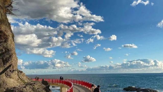 日本鐮倉大佛＋七裡濱＋鐮倉高校前站＋長谷寺包車一日遊