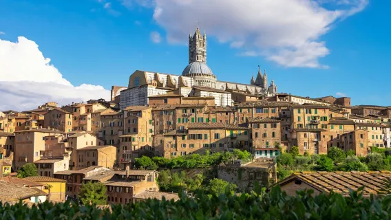 Siena & San Gimignano: Day Trip from Florence